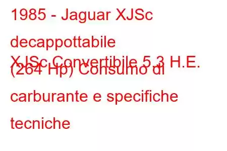 1985 - Jaguar XJSc decappottabile
XJSc Convertibile 5.3 H.E. (264 Hp) Consumo di carburante e specifiche tecniche