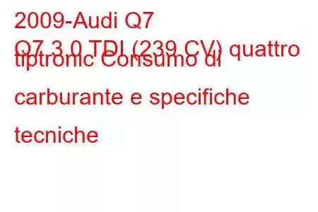 2009-Audi Q7
Q7 3.0 TDI (239 CV) quattro tiptronic Consumo di carburante e specifiche tecniche