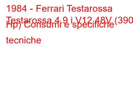 1984 - Ferrari Testarossa
Testarossa 4.9 i V12 48V (390 Hp) Consumi e specifiche tecniche