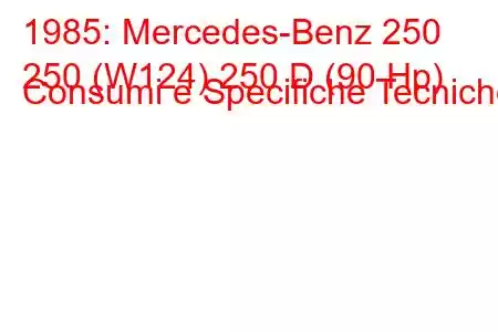 1985: Mercedes-Benz 250
250 (W124) 250 D (90 Hp) Consumi e Specifiche Tecniche