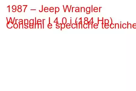 1987 – Jeep Wrangler
Wrangler I 4.0 i (184 Hp) Consumi e specifiche tecniche