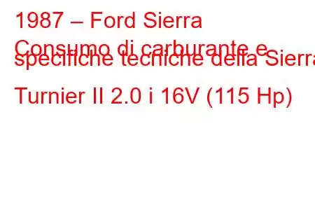 1987 – Ford Sierra
Consumo di carburante e specifiche tecniche della Sierra Turnier II 2.0 i 16V (115 Hp)