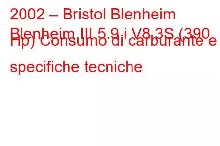 2002 – Bristol Blenheim
Blenheim III 5.9 i V8 3S (390 Hp) Consumo di carburante e specifiche tecniche