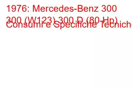 1976: Mercedes-Benz 300
300 (W123) 300 D (80 Hp) Consumi e Specifiche Tecniche