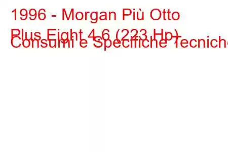 1996 - Morgan Più Otto
Plus Eight 4.6 (223 Hp) Consumi e Specifiche Tecniche