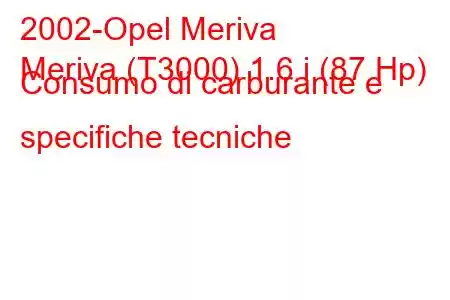 2002-Opel Meriva
Meriva (T3000) 1.6 i (87 Hp) Consumo di carburante e specifiche tecniche