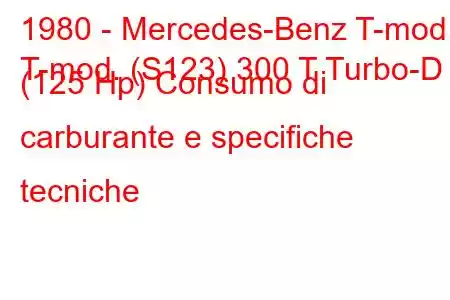 1980 - Mercedes-Benz T-mod.
T-mod. (S123) 300 T Turbo-D (125 Hp) Consumo di carburante e specifiche tecniche