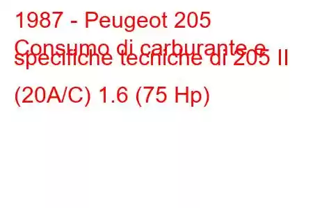 1987 - Peugeot 205
Consumo di carburante e specifiche tecniche di 205 II (20A/C) 1.6 (75 Hp)