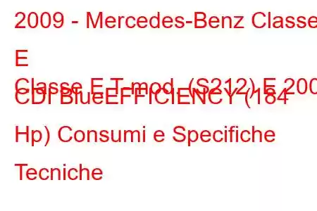 2009 - Mercedes-Benz Classe E
Classe E T-mod. (S212) E 200 CDI BlueEFFICIENCY (184 Hp) Consumi e Specifiche Tecniche