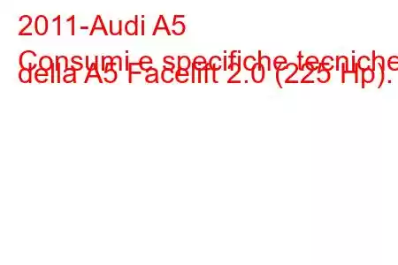 2011-Audi A5
Consumi e specifiche tecniche della A5 Facelift 2.0 (225 Hp).