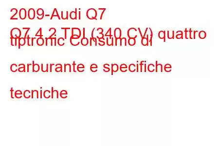 2009-Audi Q7
Q7 4.2 TDI (340 CV) quattro tiptronic Consumo di carburante e specifiche tecniche