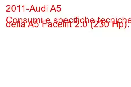 2011-Audi A5
Consumi e specifiche tecniche della A5 Facelift 2.0 (230 Hp).