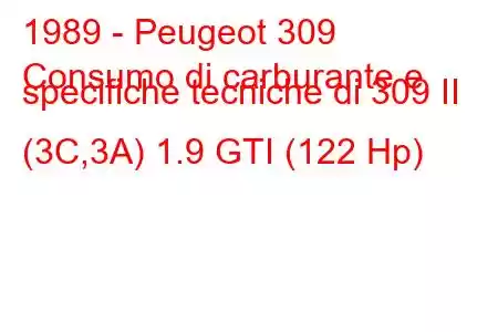 1989 - Peugeot 309
Consumo di carburante e specifiche tecniche di 309 II (3C,3A) 1.9 GTI (122 Hp)