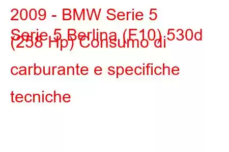 2009 - BMW Serie 5
Serie 5 Berlina (F10) 530d (258 Hp) Consumo di carburante e specifiche tecniche