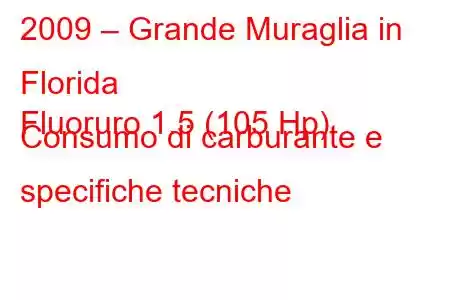 2009 – Grande Muraglia in Florida
Fluoruro 1.5 (105 Hp) Consumo di carburante e specifiche tecniche