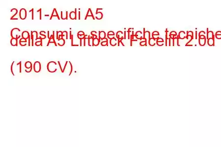 2011-Audi A5
Consumi e specifiche tecniche della A5 Liftback Facelift 2.0d (190 CV).