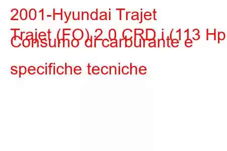 2001-Hyundai Trajet
Trajet (FO) 2.0 CRD i (113 Hp) Consumo di carburante e specifiche tecniche