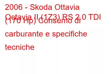 2006 - Skoda Ottavia
Octavia II (1Z3) RS 2.0 TDI (170 Hp) Consumo di carburante e specifiche tecniche