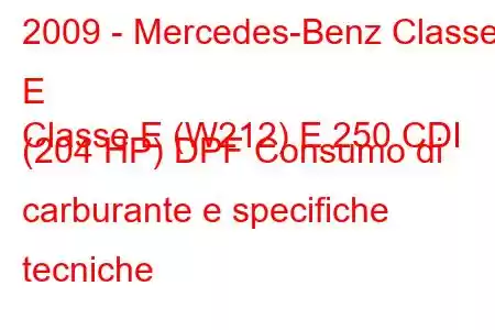 2009 - Mercedes-Benz Classe E
Classe E (W212) E 250 CDI (204 HP) DPF Consumo di carburante e specifiche tecniche