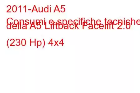 2011-Audi A5
Consumi e specifiche tecniche della A5 Liftback Facelift 2.0 (230 Hp) 4x4