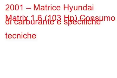 2001 – Matrice Hyundai
Matrix 1.6 (103 Hp) Consumo di carburante e specifiche tecniche