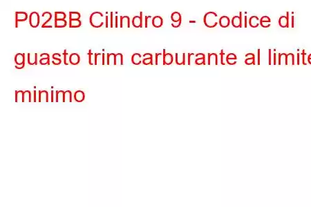 P02BB Cilindro 9 - Codice di guasto trim carburante al limite minimo