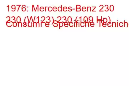 1976: Mercedes-Benz 230
230 (W123) 230 (109 Hp) Consumi e Specifiche Tecniche