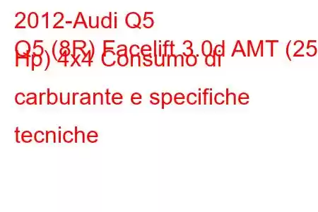 2012-Audi Q5
Q5 (8R) Facelift 3.0d AMT (258 Hp) 4x4 Consumo di carburante e specifiche tecniche