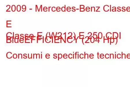 2009 - Mercedes-Benz Classe E
Classe E (W212) E 250 CDI BlueEFFICIENCY (204 Hp) Consumi e specifiche tecniche