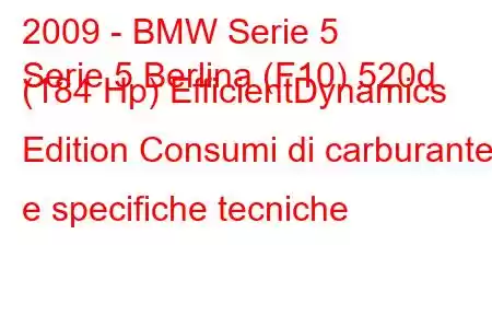 2009 - BMW Serie 5
Serie 5 Berlina (F10) 520d (184 Hp) EfficientDynamics Edition Consumi di carburante e specifiche tecniche