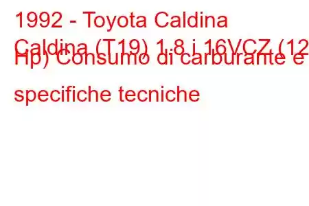 1992 - Toyota Caldina
Caldina (T19) 1.8 i 16VCZ (125 Hp) Consumo di carburante e specifiche tecniche