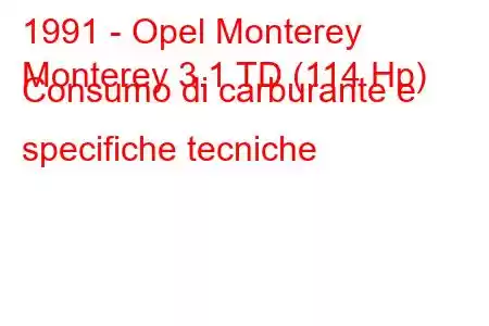 1991 - Opel Monterey
Monterey 3.1 TD (114 Hp) Consumo di carburante e specifiche tecniche