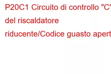 P20C1 Circuito di controllo 