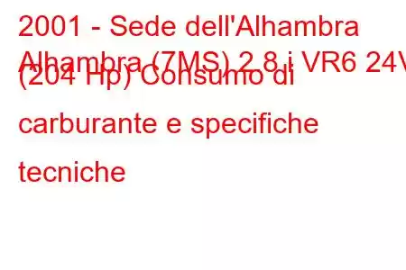 2001 - Sede dell'Alhambra
Alhambra (7MS) 2.8 i VR6 24V (204 Hp) Consumo di carburante e specifiche tecniche