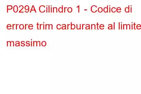 P029A Cilindro 1 - Codice di errore trim carburante al limite massimo