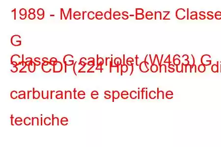 1989 - Mercedes-Benz Classe G
Classe G cabriolet (W463) G 320 CDI (224 Hp) Consumo di carburante e specifiche tecniche