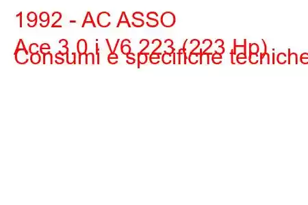 1992 - AC ASSO
Ace 3.0 i V6 223 (223 Hp) Consumi e specifiche tecniche