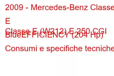 2009 - Mercedes-Benz Classe E
Classe E (W212) E 250 CGI BlueEFFICIENCY (204 Hp) Consumi e specifiche tecniche