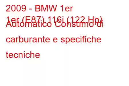 2009 - BMW 1er
1er (E87) 116i (122 Hp) Automatico Consumo di carburante e specifiche tecniche