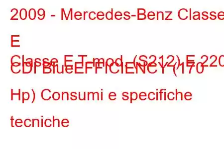 2009 - Mercedes-Benz Classe E
Classe E T-mod. (S212) E 220 CDI BlueEFFICIENCY (170 Hp) Consumi e specifiche tecniche