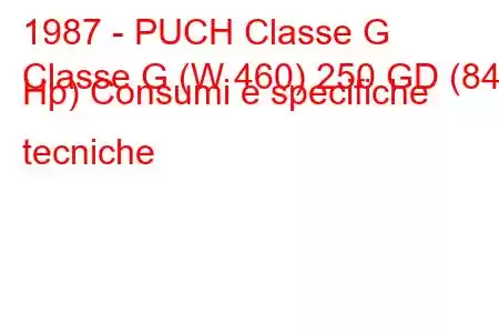 1987 - PUCH Classe G
Classe G (W 460) 250 GD (84 Hp) Consumi e specifiche tecniche