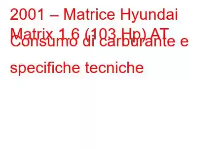 2001 – Matrice Hyundai
Matrix 1.6 (103 Hp) AT Consumo di carburante e specifiche tecniche