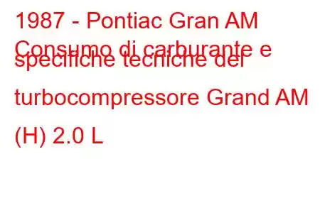 1987 - Pontiac Gran AM
Consumo di carburante e specifiche tecniche del turbocompressore Grand AM (H) 2.0 L