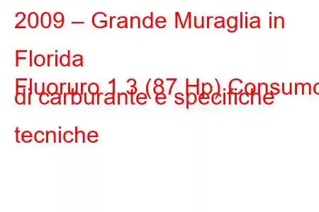 2009 – Grande Muraglia in Florida
Fluoruro 1.3 (87 Hp) Consumo di carburante e specifiche tecniche