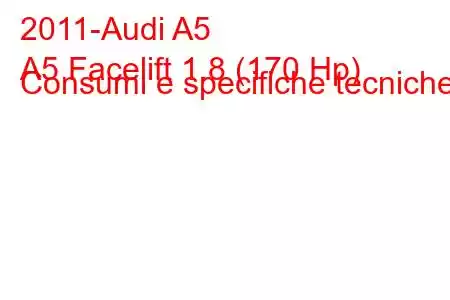 2011-Audi A5
A5 Facelift 1.8 (170 Hp) Consumi e specifiche tecniche