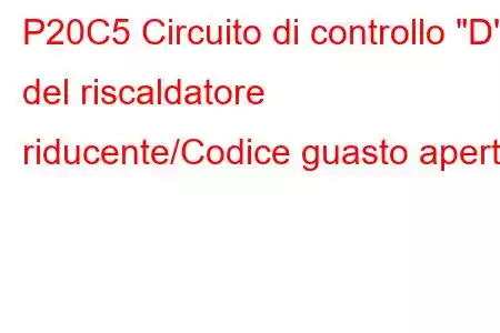 P20C5 Circuito di controllo 