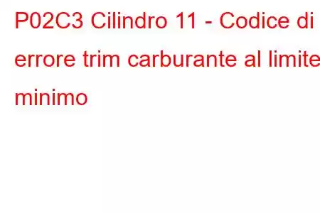 P02C3 Cilindro 11 - Codice di errore trim carburante al limite minimo