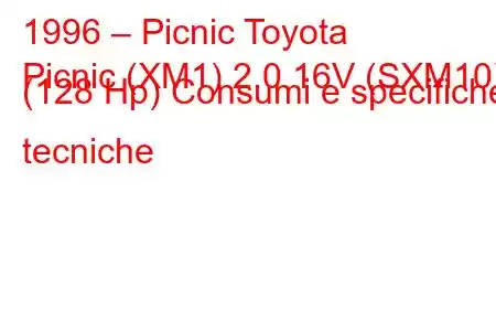 1996 – Picnic Toyota
Picnic (XM1) 2.0 16V (SXM10) (128 Hp) Consumi e specifiche tecniche