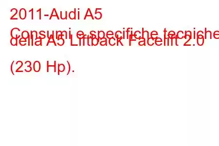 2011-Audi A5
Consumi e specifiche tecniche della A5 Liftback Facelift 2.0 (230 Hp).