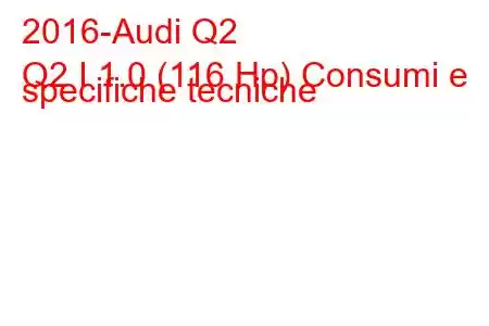 2016-Audi Q2
Q2 I 1.0 (116 Hp) Consumi e specifiche tecniche